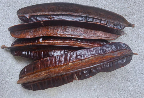 4 Côtés 4 pièces : Pureté et Équilibre