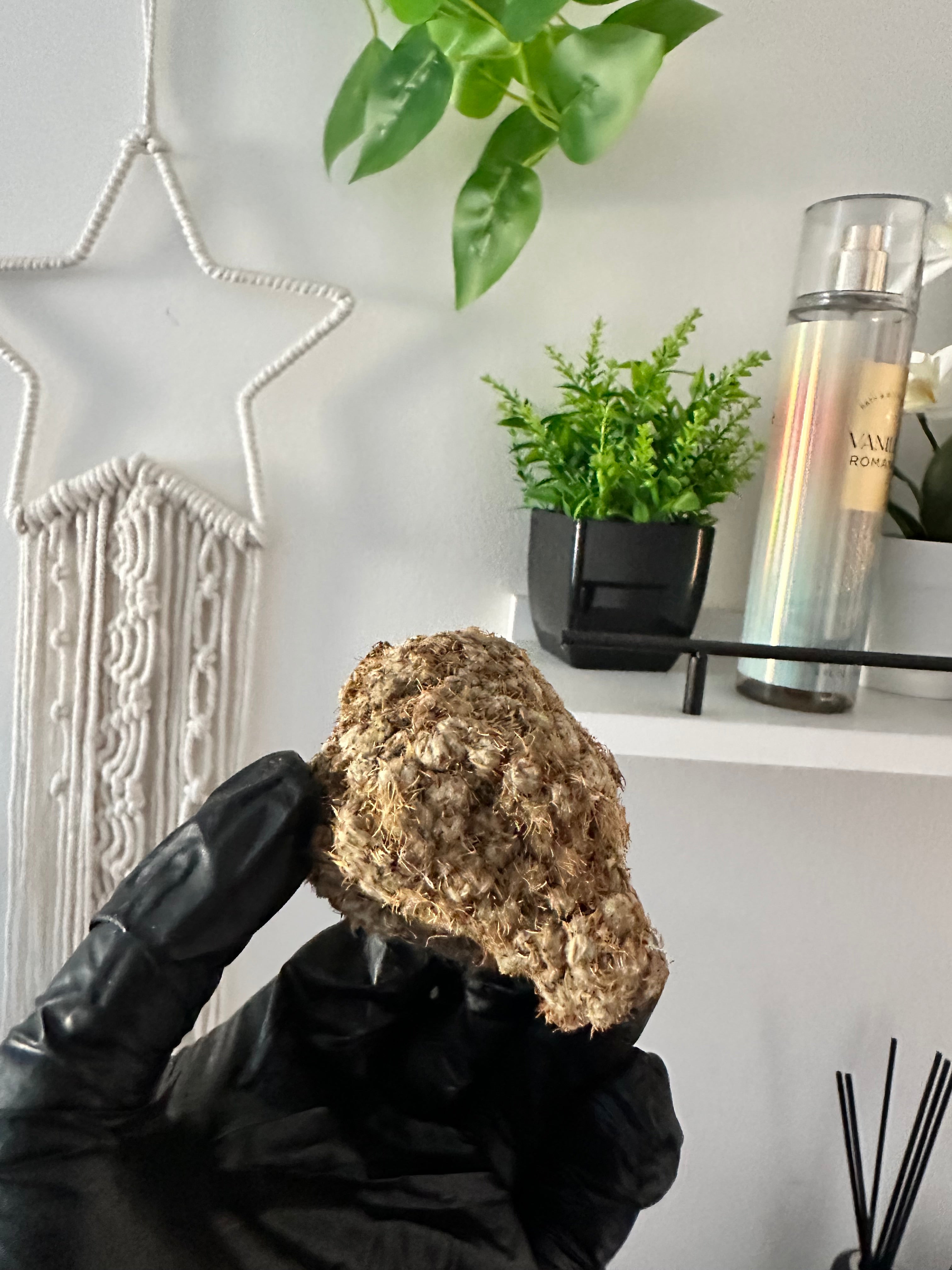 Coller Serrer (Norolamba) — Vitalité & Énergie Féminine