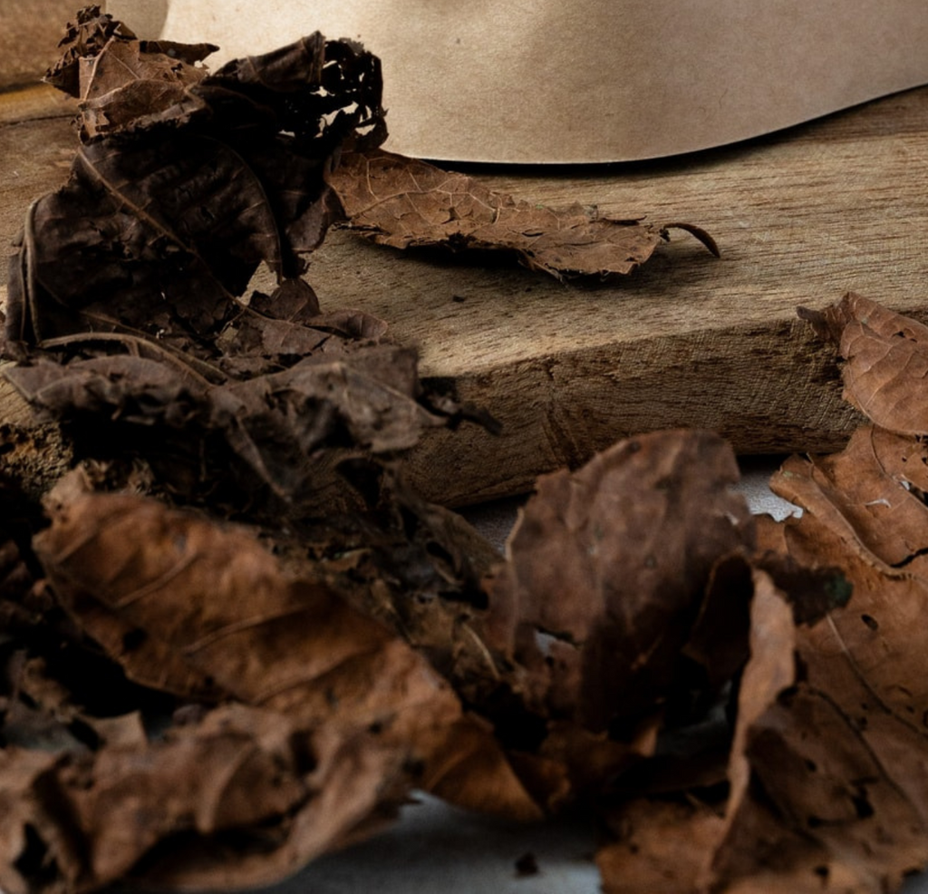 Djeka & Khamaré – Plantes naturelles