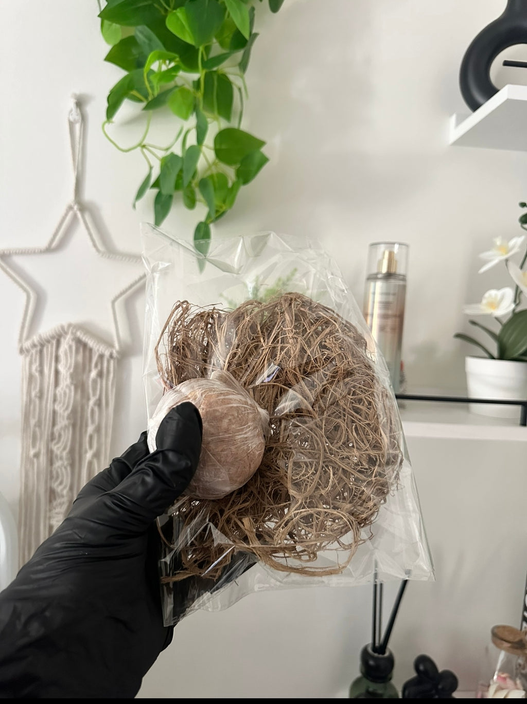 Éponge Magique Naturelle Africaine