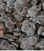 Nep-Nep ( Acacia Nilotica )