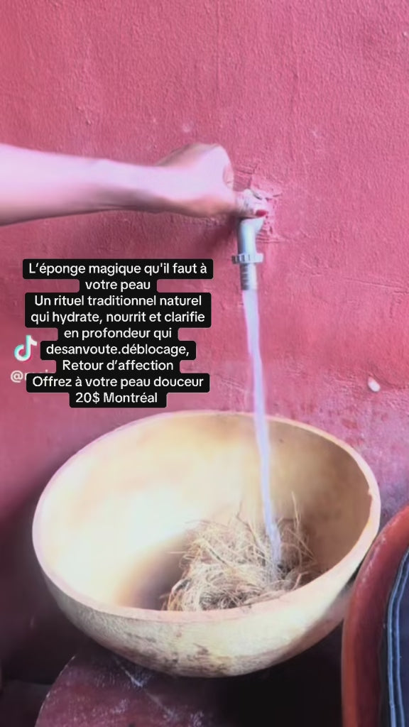 Éponge Magique Naturelle Africaine